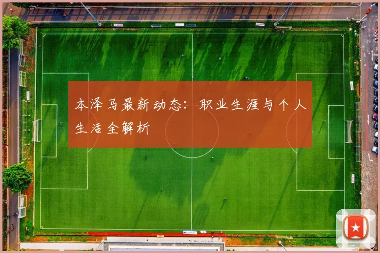 本泽马最新动态：职业生涯与个人生活全解析